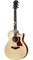 TAYLOR 516ce 500 Series, гитара электроакустическая, форма корпуса Grand Symphony, кейс - фото 64575