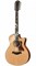 TAYLOR 656ce 600 Series, гитара электроакустическая двенадцатиструнная, форма корпуса Grand Symphony, кейс - фото 64606