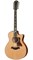 TAYLOR 656ce 600 Series, гитара электроакустическая двенадцатиструнная, форма корпуса Grand Symphony, кейс - фото 64607