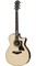 TAYLOR 714ce 700 Series, гитара электроакустическая, форма корпуса Grand Auditorium, кейс - фото 64624