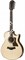 TAYLOR 756ce 700 Series, гитара электроакустическая двенадцатиструнная, форма корпуса Grand Symphony, кейс - фото 64634