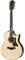 TAYLOR 756ce 700 Series, гитара электроакустическая двенадцатиструнная, форма корпуса Grand Symphony, кейс - фото 64635