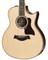 TAYLOR 856ce 800 Series, гитара электроакустическая двенадцатиструнная, форма корпуса Grand Symphony, кейс - фото 64673