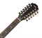 TAYLOR 856ce 800 Series, гитара электроакустическая двенадцатиструнная, форма корпуса Grand Symphony, кейс - фото 64674