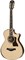TAYLOR 812ce 12-Fret DLX 800 Series DLX, гитара электроакустическая, форма корпуса Grand Concert, кейс - фото 64681