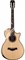 TAYLOR 912ce 900 Series, гитара электроакустическая, форма корпуса Grand Concert, кейс - фото 64696