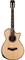 TAYLOR 912ce 900 Series, гитара электроакустическая, форма корпуса Grand Concert, кейс - фото 64697