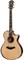 TAYLOR 912ce 900 Series, гитара электроакустическая, форма корпуса Grand Concert, кейс - фото 64698