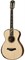 TAYLOR 912e 12-Fret 900 Series, гитара электроакустическая, форма корпуса Grand Concert, кейс - фото 64702