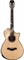 TAYLOR 912ce 900 Series, гитара электроакустическая, форма корпуса Grand Concert, кейс - фото 64705
