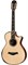 TAYLOR 912ce 900 Series, гитара электроакустическая, форма корпуса Grand Concert, кейс - фото 64707