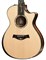TAYLOR PS12ce 12-Fret Presentation Series, гитара электроакустическая, форма корпуса Grand Concert, кейс - фото 64752
