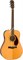 Fender PM-1E Dread Std Nat w/case OV акустическая гитара - фото 65422