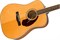 Fender PM-1E Dread Std Nat w/case OV акустическая гитара - фото 65423