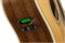 Fender PM-1E Dread Std Nat w/case OV акустическая гитара - фото 65424