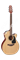 TAKAMINE PRO SERIES 1 P1NC электроакустическая гитара типа NEX CUTAWAY с кейсом, цвет натуральный - фото 70919