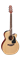 TAKAMINE PRO SERIES 1 P1NC электроакустическая гитара типа NEX CUTAWAY с кейсом, цвет натуральный - фото 70920