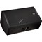 Electro-Voice ELX115 акуст. система 2-полос., пассивная, 15'', 8 Ом, макс. SPL 134 дБ (пик), 1000W, 50Гц-20кГц, цвет черный - фото 72137
