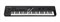 KORG KINGKORG-BK аналогово моделирующий синтезатор - фото 72591