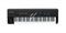 KORG KINGKORG-BK аналогово моделирующий синтезатор - фото 72593