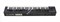 KORG KINGKORG-BK аналогово моделирующий синтезатор - фото 72595
