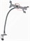 ROCKDALE LSIP13 держатель для iPad на gooseneck (дл 60 см), крепится к столу на струбцине - фото 73347