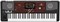 KORG Pa700-OR профессиональная аранжировочная станция, 61 клавиша с восточными звуками (ORIENTAL). - фото 74622