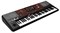 KORG Pa700-OR профессиональная аранжировочная станция, 61 клавиша с восточными звуками (ORIENTAL). - фото 74623