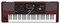 KORG PA1000 профессиональная аранжировочная станция, 61 клавиша. - фото 74627