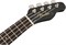 FENDER UKULELE VENICE BLACK укулеле сопрано, цвет черный - фото 74906
