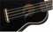 FENDER UKULELE VENICE BLACK укулеле сопрано, цвет черный - фото 74908