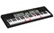 Casio LK-135 Синтезатор - фото 74983