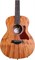 TAYLOR GS MINI MAH GS Mini, гитара акустическая, форма корпуса парлор, жесткий чехол - фото 75266