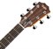 TAYLOR Academy 12 Academy Series, Layered Sapele, Sitka Spruce Top, Grand Concert гитара акустическая, корпус - сапеле, верхняя - фото 76051