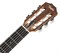 TAYLOR Academy 12-N Academy Series, Layered Sapele, Sitka Spruce Top, Nylon String Grand Concert гитара акустическая, корпус - - фото 76055