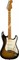 FENDER Eric Johnson Stratocaster Maple Neck Fingerboard 2 Tone Sunburs электрогитара - фото 78042