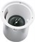 Electro-Voice EVID C8.2HC потолочный громкоговоритель 8' coax, 100W(8 Ohms) / 100V(7,5/15/30/60W), 75°, цвет белый, ЦЕНА ЗА ПАРУ - фото 83016