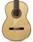 CORDOBA LUTHIER F10 Flamenco, классическая гитара в стиле фламенко, топ - ель, дека - кипарис, кейс из вспененного ПВХ - фото 86154