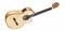CORDOBA LUTHIER GK Pro, классическая гитара, топ - ель, дека - кипарис, тембр блок - Fishman, жесткий влагозащитный кейс - фото 86159