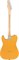 FENDER AM PRO TELE MN BTB (ASH) электрогитара American Pro Telecaster (ясень), цвет баттерскоч блонд, кленовая накладка грифа - фото 86635