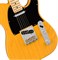FENDER AM PRO TELE MN BTB (ASH) электрогитара American Pro Telecaster (ясень), цвет баттерскоч блонд, кленовая накладка грифа - фото 86637