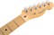 FENDER AM PRO TELE MN BTB (ASH) электрогитара American Pro Telecaster (ясень), цвет баттерскоч блонд, кленовая накладка грифа - фото 86638