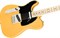 FENDER AM PRO TELE LH MN BTB (ASH) электрогитара American Pro Telecaster (ясень), леворукая, цвет баттерскоч блонд, клен накл - фото 86666
