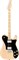 FENDER AM PRO TELE DLX SHAW MN NAT (ASH) электрогитара American Pro Telecaster Deluxe (ясень), цвет натуральный, кленовая наклад - фото 86692