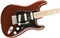 FENDER DLX ROADHOUS STRAT MN CLSC COP электрогитара Deluxe Roadhouse Strat, цвет классик коппер, кленовая накладка грифа - фото 86781