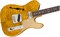 Fender Custom Shop 2017 ARTISAN TAMO ASH TELE Электрогитара - фото 89851