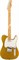 Fender Custom Shop POSTMODERN TELE MPL LCC - FGLD Электрогитара - фото 89916