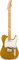 Fender Custom Shop POSTMODERN TELE MPL LCC - FGLD Электрогитара - фото 89917