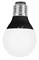 CHAUVET-DJ Festoon 20VW комплект из 20 светодиодных ламп Feston VW - фото 92348