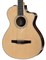 TAYLOR 412ce-NR 400 Series, Nylon гитара электроакустическая классическая, форма корпуса Grand Concert, кейс - фото 92543